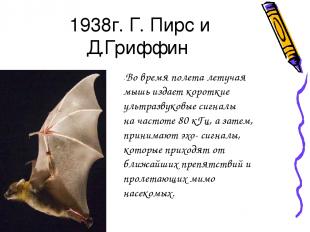 1938г. Г. Пирс и Д.Гриффин -Во время полета летучая мышь издает короткие ультраз