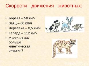 Скорости движения животных: Борзая – 58 км/ч Заяц – 60 км/ч Черепаха – 0,5 км/ч