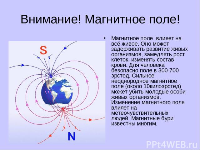 Внимание! Магнитное поле! Магнитное поле влияет на всё живое. Оно может задерживать развитие живых организмов, замедлять рост клеток, изменять состав крови. Для человека безопасно поле в 300-700 эрстед. Сильное неоднородное магнитное поле (около 10к…