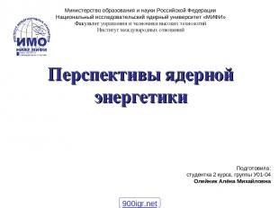 Министерство образования и науки Российской Федерации Национальный исследователь