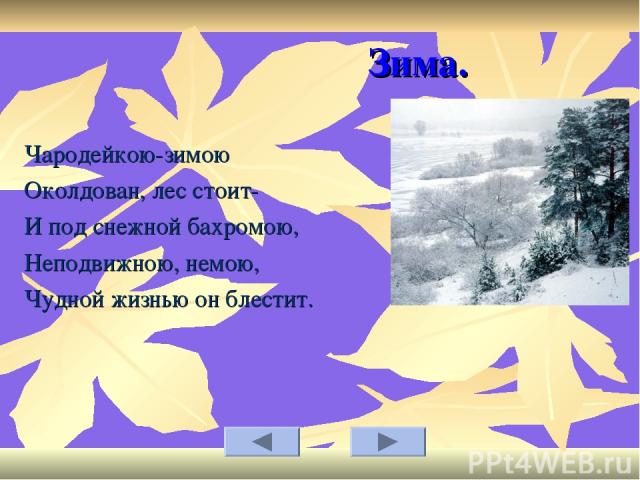Зима. Чародейкою-зимою Околдован, лес стоит- И под снежной бахромою, Неподвижною, немою, Чудной жизнью он блестит.