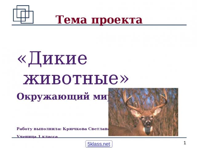 Тема проекта «Дикие животные» Окружающий мир - 1 класс Работу выполнила: Крючкова Светлана Ученица 1 класса 5klass.net *