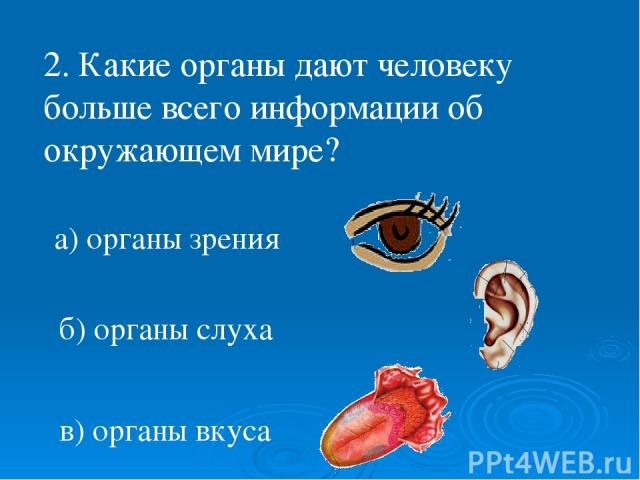 2. Какие органы дают человеку больше всего информации об окружающем мире? а) органы зрения б) органы слуха в) органы вкуса
