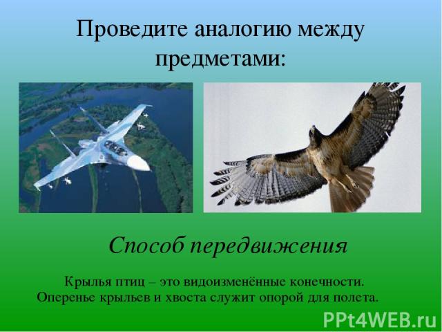 Проведите аналогию между предметами: Крылья птиц – это видоизменённые конечности. Оперенье крыльев и хвоста служит опорой для полета. Способ передвижения