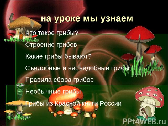 на уроке мы узнаем Что такое грибы? Строение грибов Какие грибы бывают? Съедобные и несъедобные грибы Правила сбора грибов Необычные грибы Грибы из Красной книги России