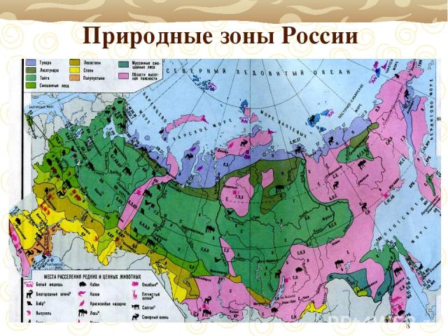 * Природные зоны России