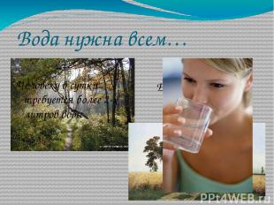 Вода нужна всем… Ее пьют поля и леса Человеку в сутки требуется более 2-х литров