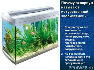 Почему аквариум называют искусственной экосистемой? Присутствуют все компоненты