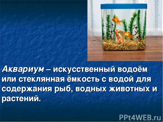 Аквариум – искусственный водоём или стеклянная ёмкость с водой для содержания рыб, водных животных и растений.
