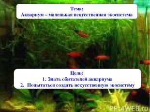 Тема: Аквариум – маленькая искусственная экосистема Цель: Знать обитателей аквар