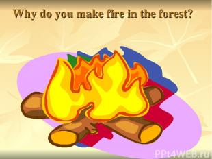Why do you make fire in the forest?
