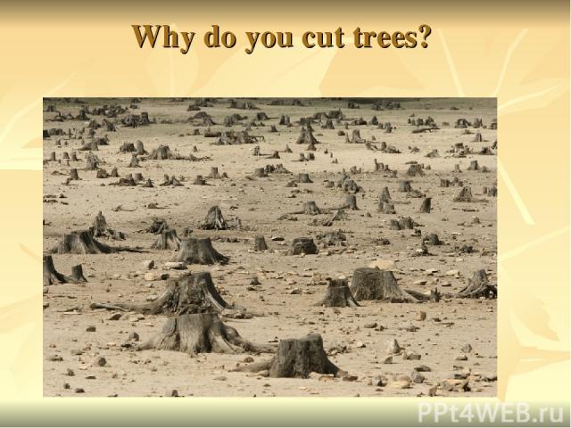 Why do you cut trees?
