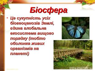 Біосфера Це сукупність усіх біогеоценозів Землі, єдина глобальна екосистема вищо