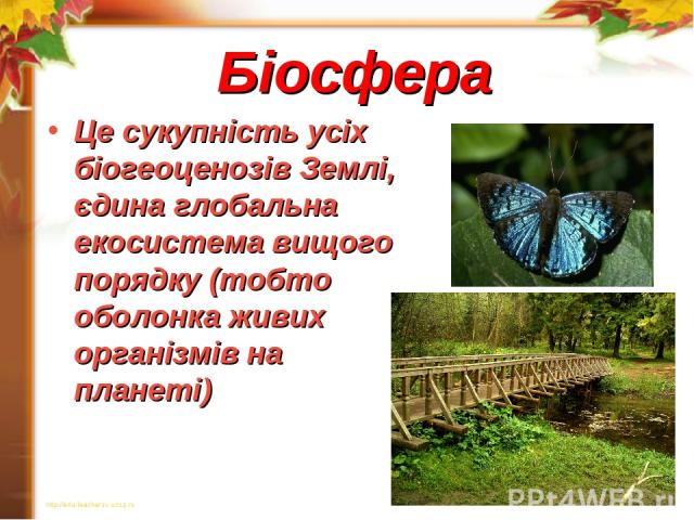 Біосфера Це сукупність усіх біогеоценозів Землі, єдина глобальна екосистема вищого порядку (тобто оболонка живих організмів на планеті)