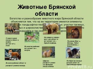 Животные Брянской области Богатство и разнообразие животного мира Брянской облас