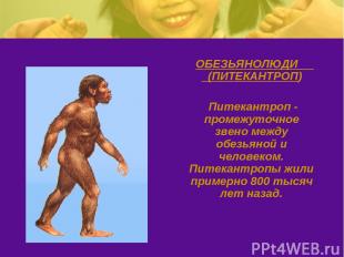 ОБЕЗЬЯНОЛЮДИ (ПИТЕКАНТРОП) Питекантроп - промежуточное звено между обезьяной и ч