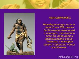 НЕАНДЕРТАЛЕЦ Неандертальцы жили в период от 250 тысяч до 30 тысяч лет назад в пе