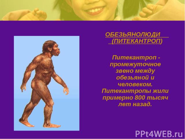 ОБЕЗЬЯНОЛЮДИ (ПИТЕКАНТРОП) Питекантроп - промежуточное звено между обезьяной и человеком. Питекантропы жили примерно 800 тысяч лет назад.