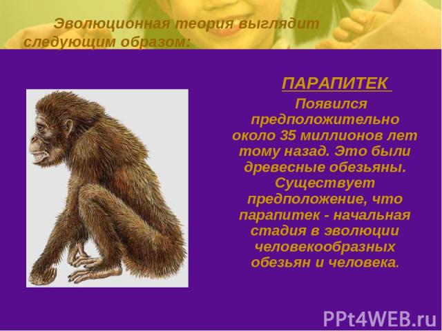 Эволюционная теория выглядит следующим образом: ПАРАПИТЕК Появился предположительно около 35 миллионов лет тому назад. Это были древесные обезьяны. Существует предположение, что парапитек - начальная стадия в эволюции человекообразных обезьян и человека.