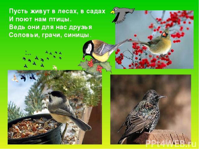 Пусть живут в лесах, в садах И поют нам птицы. Ведь они для нас друзья Соловьи, грачи, синицы.