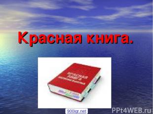 Красная книга. 900igr.net