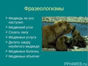 Фразеологизмы Медведь на ухо наступил Медвежий угол Сосать лапу Медвежья услуга
