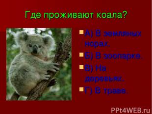 Где проживают коала? А) В земляных норах. Б) В зоопарке. В) На деревьях. Г) В тр