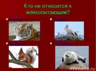 Кто не относится к млекопитающим? А) Тигр. Б) Аист. В) Белка. Г) Тюлень.