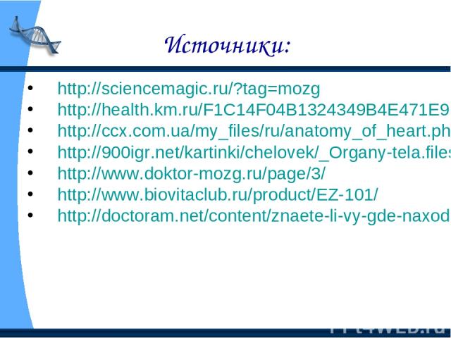Источники: http://sciencemagic.ru/?tag=mozg http://health.km.ru/F1C14F04B1324349B4E471E92C7E3314 http://ccx.com.ua/my_files/ru/anatomy_of_heart.php http://900igr.net/kartinki/chelovek/_Organy-tela.files/011-ZHeludok.html http://www.doktor-mozg.ru/pa…