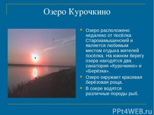 Озеро Курочкино Озеро расположено недалеко от посёлка Старокамышинский и являетс