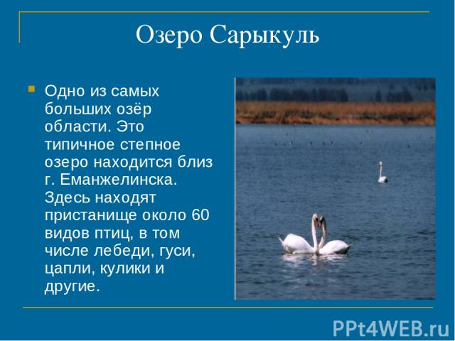 Озеро Сарыкуль Одно из самых больших озёр области. Это типичное степное озеро находится близ г. Еманжелинска. Здесь находят пристанище около 60 видов птиц, в том числе лебеди, гуси, цапли, кулики и другие.