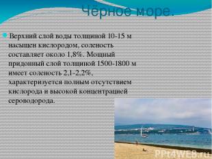 Чёрное море. Верхний слой воды толщиной 10-15 м насыщен кислородом, соленость со