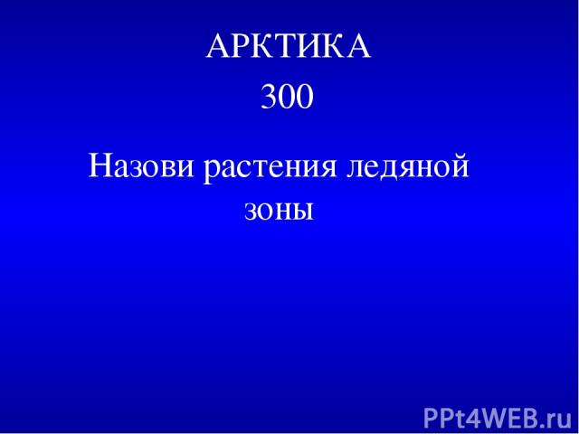 АРКТИКА 300 Назови растения ледяной зоны