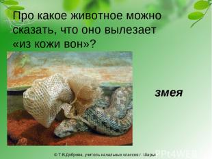 Про какое животное можно сказать, что оно вылезает «из кожи вон»? змея © Т.В.Доб
