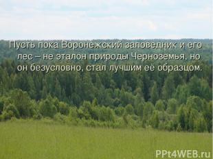 Пусть пока Воронежский заповедник и его лес – не эталон природы Черноземья, но о