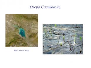Озеро Сасыкколь. Вид из космоса