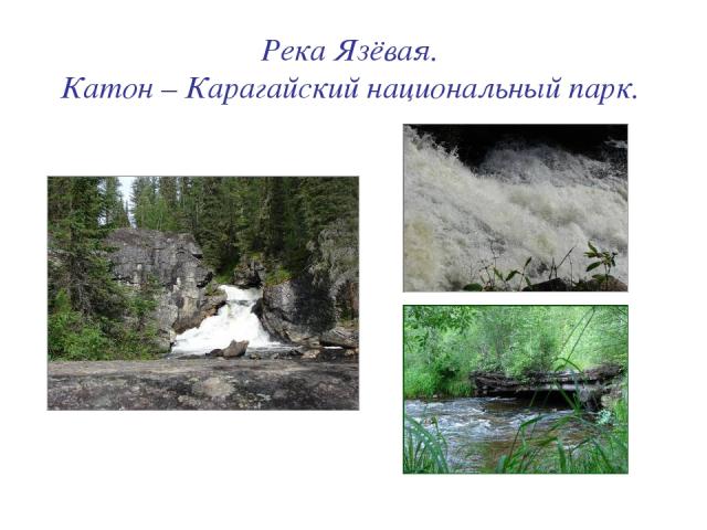 Река Язёвая. Катон – Карагайский национальный парк.