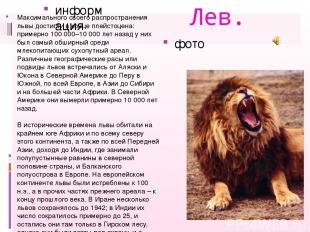 Лев. информация фото Максимального своего распространения львы достигли в конце