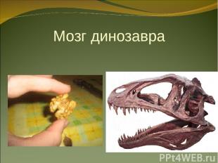 Мозг динозавра