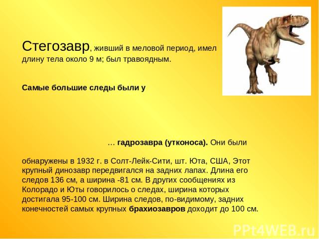 Стегозавр, живший в меловой период, имел длину тела около 9 м; был травоядным. Самые большие следы были у                                                              … гадрозавра (утконоса). Они были обнаружены в 1932 г. в Солт-Лейк-Сити, шт. Юта, …