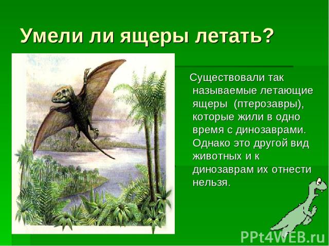 Умели ли ящеры летать? Существовали так называемые летающие ящеры (птерозавры), которые жили в одно время с динозаврами. Однако это другой вид животных и к динозаврам их отнести нельзя.