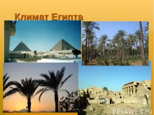 Климат Египта