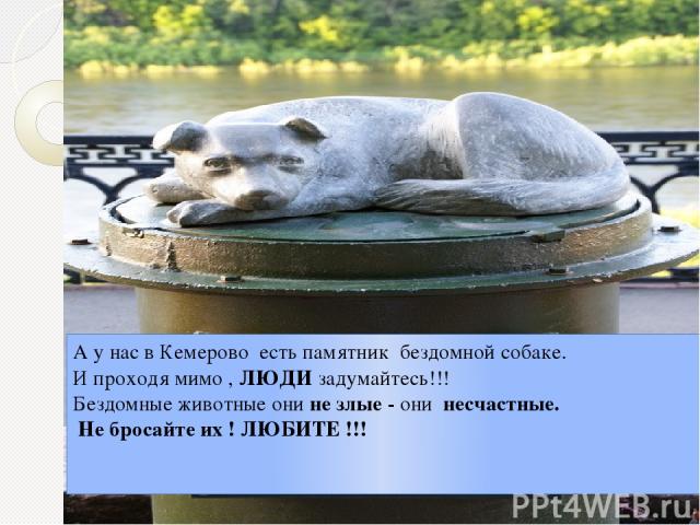 А у нас в Кемерово есть памятник бездомной собаке. И проходя мимо , ЛЮДИ задумайтесь!!! Бездомные животные они не злые - они несчастные. Не бросайте их ! ЛЮБИТЕ !!!