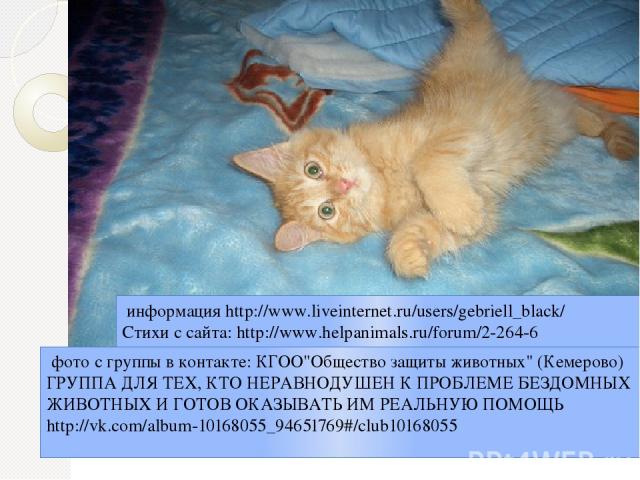 информация http://www.liveinternet.ru/users/gebriell_black/ Стихи с сайта: http://www.helpanimals.ru/forum/2-264-6 фото с группы в контакте: КГОО