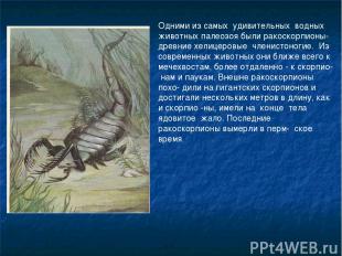 Одними из самых удивительных водных животных палеозоя были ракоскорпионы-древние