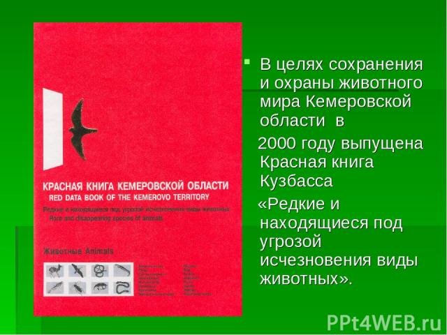 В целях сохранения и охраны животного мира Кемеровской области в 2000 году выпущена Красная книга Кузбасса «Редкие и находящиеся под угрозой исчезновения виды животных».