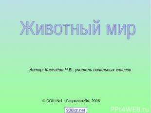 © СОШ №1 г.Гаврилов-Ям, 2006 Автор: Киселёва Н.В., учитель начальных классов 900