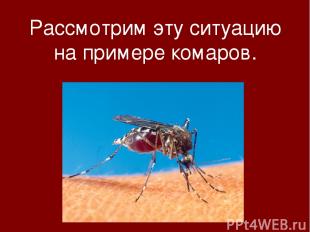 Рассмотрим эту ситуацию на примере комаров.