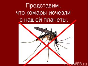 Представим, что комары исчезли с нашей планеты.
