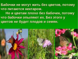 Бабочки не могут жить без цветов, потому что питаются нектаром. Но и цветам плох